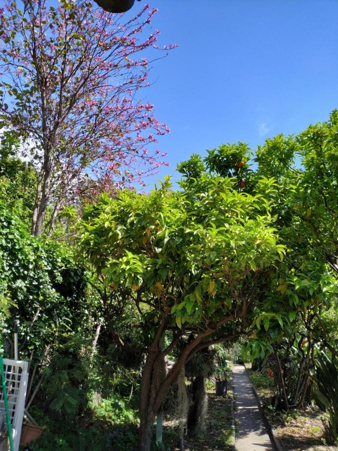 Maison Trucchi Menton Exterior foto